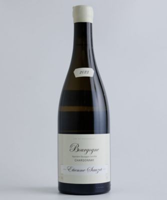 ＜エティエンヌ　ソゼ＞ブルゴーニュ　ブラン　２０２３