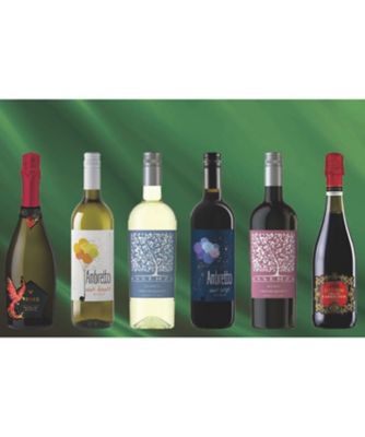 ２４０５０　泡・白・赤・ランブルスコが入ったイタリア・バラエティ６本セット