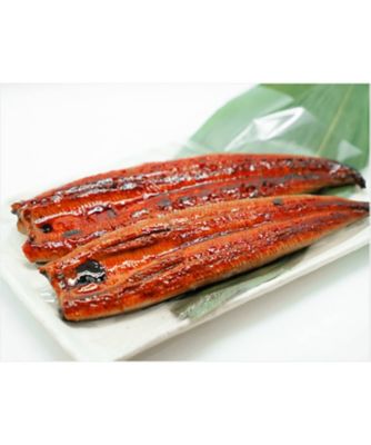 魚勢/ウオセイ 【父の日】鹿児島県　うなぎ長焼き詰合せ（２尾）