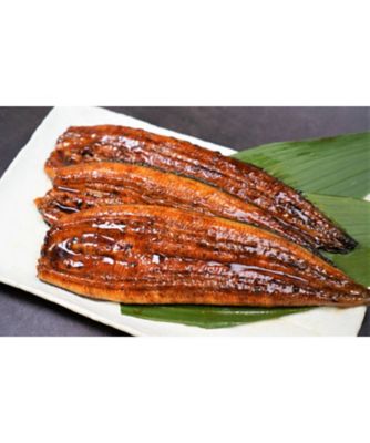 ＜魚勢＞【父の日】鹿児島県　うなぎ長焼き詰合せ（３尾）