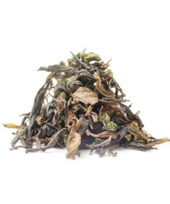 ダージリン2025ファーストフラッシュ フグリ農園 クローナル