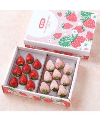 ＜SUN FRUITS＞４４６【１月中旬届】＜サン・フルーツ＞紅白いちごＡ【福袋】