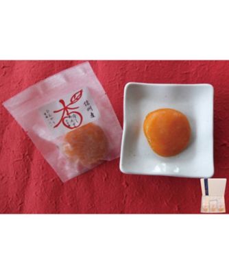 【美味探訪】０４〈杏宝園〉信州産冷やし杏