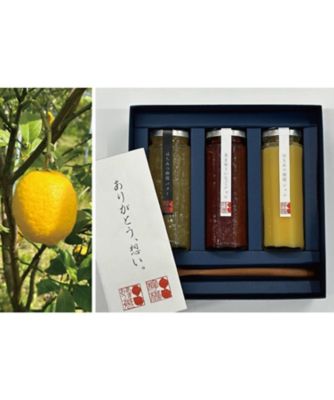 ＜セルフィユ軽井沢＞【１１】アカシヤはちみつ糸島檸檬・糸島あまおうジャムセット【１０月届】