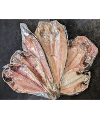 ＜魚勢＞１５１【１月中旬届】＜魚勢＞干物　福袋【福袋】