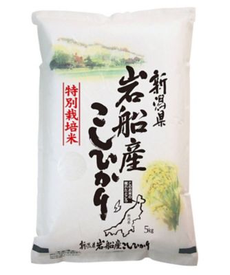 カワサキ森田屋/カワサキモリタヤ 新潟県岩船産こしひかり特別栽培米