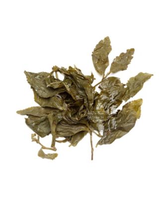 わん茶ちゃん専用 フリル付きパール装飾ウエストシャーリングフラワープリントプリーツ