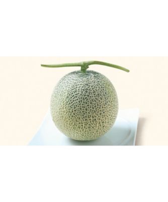 25chu_045213