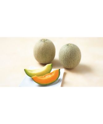 25chu_045233