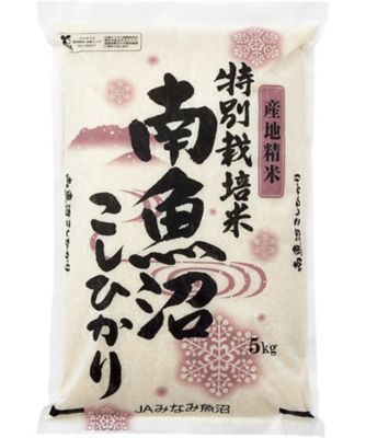 25chu_294053