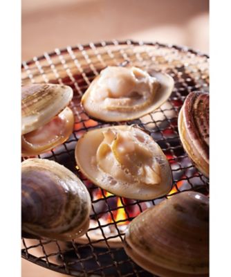 旬味いろいろ便 陽（ひなた）コース（冊子タイプ）【555913