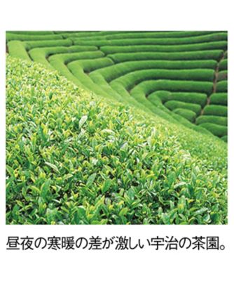 高級茶葉*松北園*宇治玉露・煎茶*桐箱入り 松北園〉宇治玉露・煎茶詰合せ【670133】｜松北園 の通販