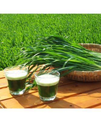 ＜コダマ健康食品＞有機栽培大麦若葉エキスの青汁（２個組）