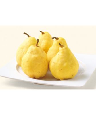 【お歳暮】【送料無料】三越伊勢丹オンラインストア 新潟 ル レクチエ ※収穫次第のお届け ※送料無料 果物・冷凍フルーツ【三越伊勢丹/公式】