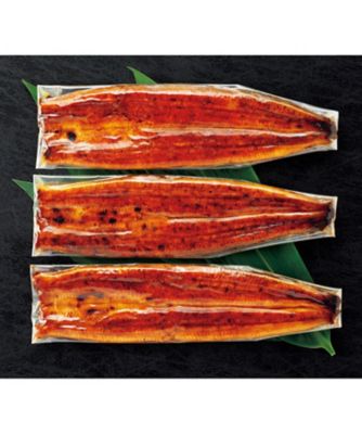 【お歳暮】三越伊勢丹オンラインストア 愛知県産 木曽三川うなぎ長蒲焼《愛知》 魚介類【三越伊勢丹/公式】