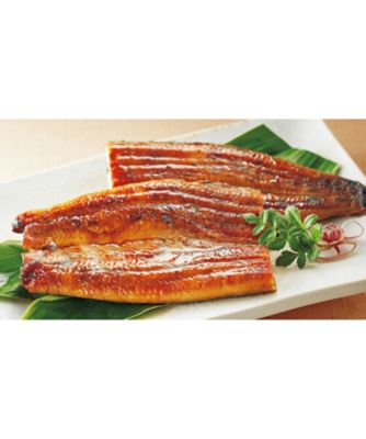 【お歳暮】三越伊勢丹オンラインストア 愛知県産 木曽三川うなぎ長蒲焼《愛知》 魚介類【三越伊勢丹/公式】