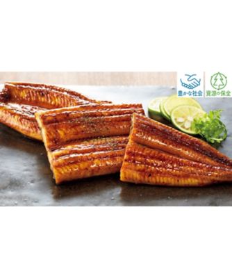 【お歳暮】四万十食品 養鰻場限定 四万十の鰻蒲焼 魚介類【三越伊勢丹/公式】