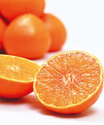 【お歳暮】三越伊勢丹オンラインストア 愛媛 大玉紅まどんな ※収穫次第のお届け 果物・冷凍フルーツ【三越伊勢丹/公式】