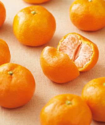 【お歳暮】三越伊勢丹オンラインストア 愛媛西宇和 ゴールド蜜るみかん ※収穫次第のお届け 果物・冷凍フルーツ【三越伊勢丹/公式】