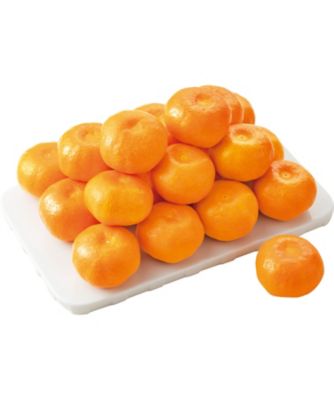 【お歳暮】三越伊勢丹オンラインストア 愛媛西宇和 ゴールド蜜るみかん ※収穫次第のお届け 果物・冷凍フルーツ【三越伊勢丹/公式】