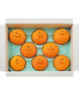 鹿児島 大将季（だいまさき）エクセレント ※収穫次第のお届け