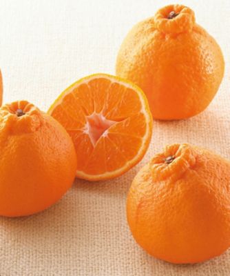 【お歳暮】三越伊勢丹オンラインストア 鹿児島 大将季（だいまさき）エクセレント ※収穫次第のお届け 果物・冷凍フルーツ【三越伊勢丹/公式】