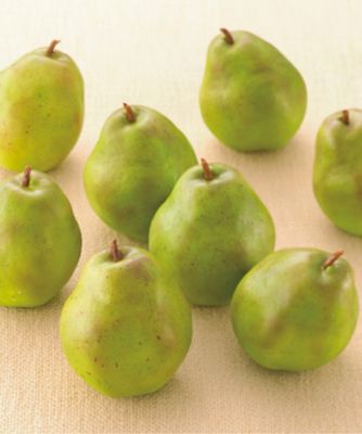 【お歳暮】ウッディファーム 山形ラ フランス ※収穫次第のお届け 果物・冷凍フルーツ【三越伊勢丹/公式】