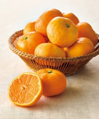 【お歳暮】三越伊勢丹オンラインストア 和歌山 味一プレミアムみかん ※収穫次第のお届け 果物・冷凍フルーツ【三越伊勢丹/公式】