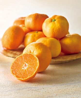 【お歳暮】三越伊勢丹オンラインストア 和歌山 味一極みかん ※収穫次第のお届け 果物・冷凍フルーツ【三越伊勢丹/公式】