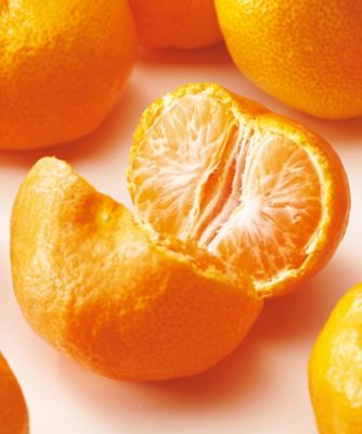 【お歳暮】三越伊勢丹オンラインストア 熊本 夢の恵みかん ※収穫次第のお届け 果物・冷凍フルーツ【三越伊勢丹/公式】