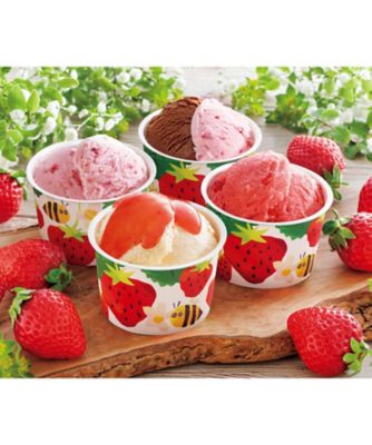 【お歳暮】三越伊勢丹オンラインストア 博多あまおうのこだわりアイス アイス クリーム、フローズン ヨーグルト（洋菓子）【三越伊勢丹/公式】