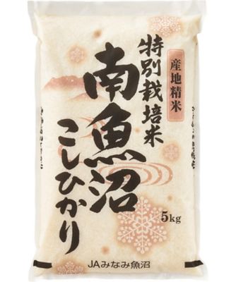【お歳暮】【送料無料】三越伊勢丹オンラインストア 特別栽培米新潟県南魚沼こしひかり ※送料無料 【Web限定】【三越伊勢丹/公式】