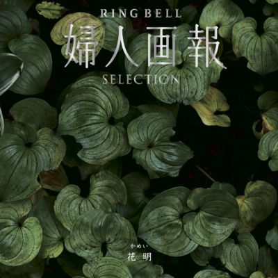 婦人画報〉花明コース【533233】｜その他カタログギフト