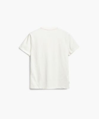 大きな花のＴシャツ　２５ＳＷＴＫ２４