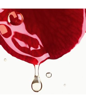 CHANEL（CHANEL） N°1 ドゥ シャネル スキンケア デュオ S