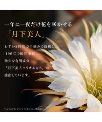 CLARINS（CLARINS） クラランスプレシャス ル セラム ブライト 通販