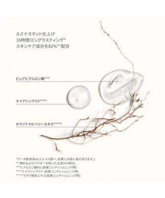 Hermès（Hermès） エルメス プラン エア バーズ ペルフェクトリス 通販