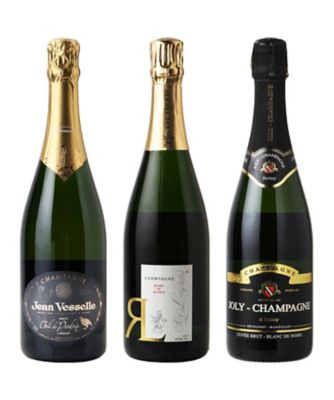 ０２１．小規模生産者別　品種別辛口シャンパーニュ３本セット