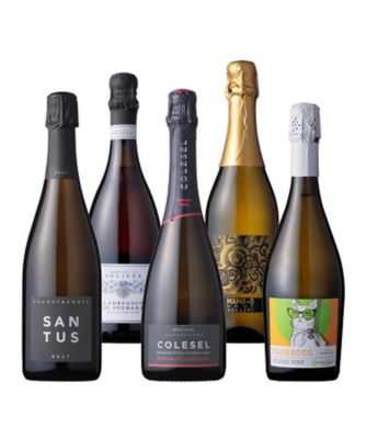 ５１．フランチャコルタ＆ランブルスコ入り！イタリアスパークリング５本セット