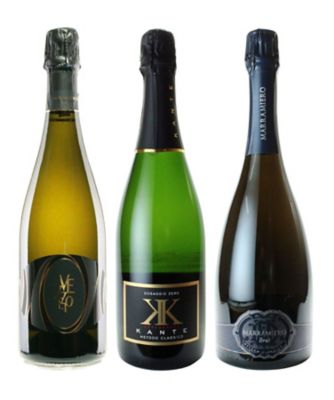 ５６．シャンパーニュ製法で仕上げたイタリア・スパークリングワイン３本セット