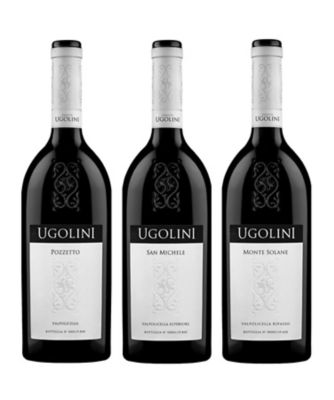 ６４．ヴァルポリチェッラの多様性を愉しむ同一生産者赤ワイン３本セット