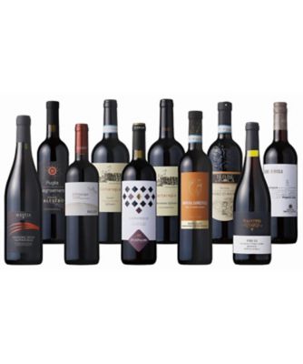 ９７．アマローネ入り！イタリア赤ワイン１０本セット