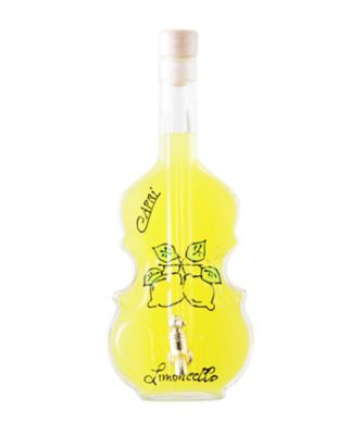 １０７．バイオリンサーバー