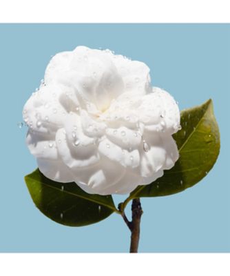 CHANEL（CHANEL） イドゥラ ビューティ マイクロ クリーム 通販