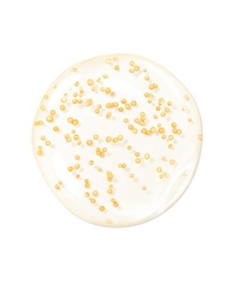 GUERLAIN（GUERLAIN） パリュール ゴールド スキン ダブル ヴェール