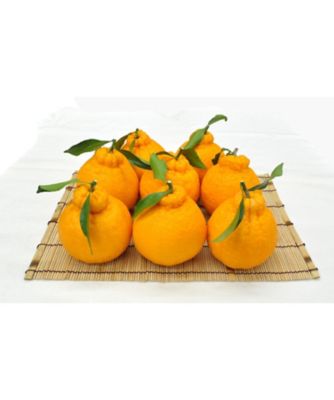 ２１３８１　１箱　熊本県産　葉つきしらぬい