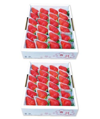 21402 2箱 徳島県産 さくらももいちご | 三越伊勢丹オンライン