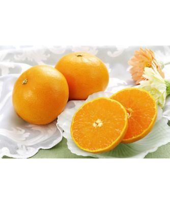 ２１４２９　１箱　愛媛県産　せとか５ｋｇ（Ｌ～３Ｌいずれか）