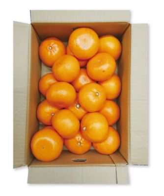 21429 1箱 愛媛県産 せとか5kg（L～3Lいずれか） | 三越