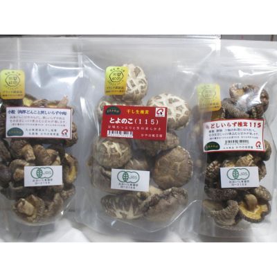 大分/かやの椎茸屋/カヤノシイタケヤ ★【産直】とよのこ山からの贈物　１セット